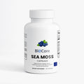 Sea Moss